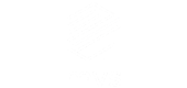 MVS
